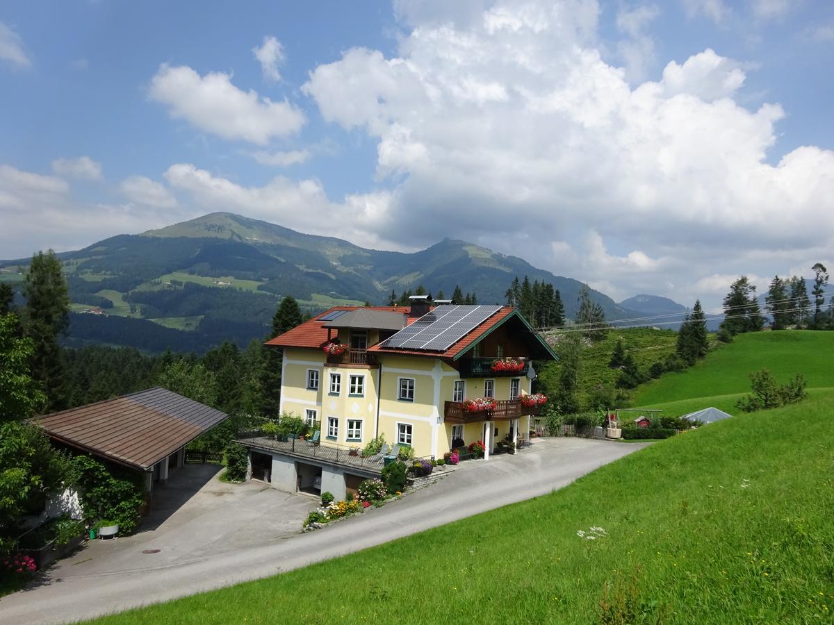 Ferienwohnung Haus Lehen Sankt Koloman Bagian luar foto