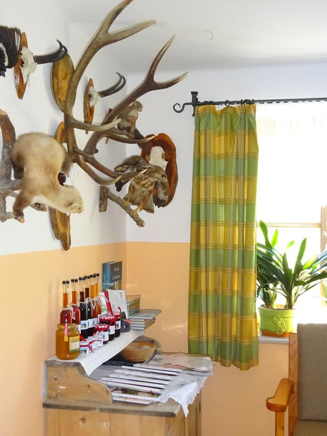 Ferienwohnung Haus Lehen Sankt Koloman Bagian luar foto